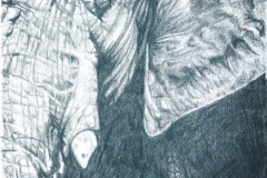 African-Elephant-pencil-drawing-emily-dewsnap-art