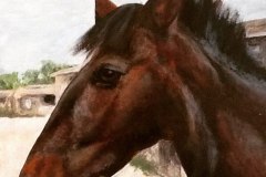 Ruby-Commission-horse-painting-emily-dewsnap-art